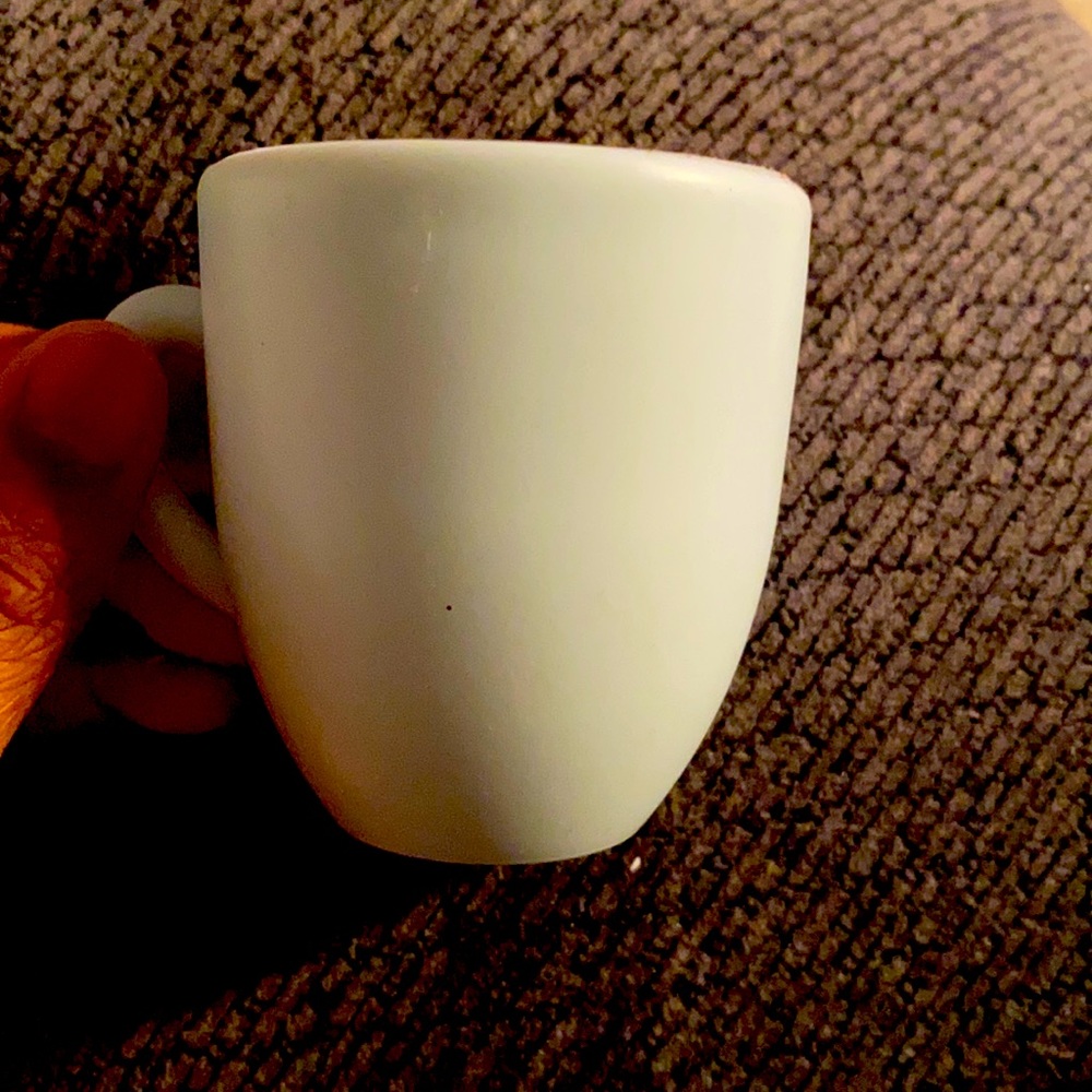 Tabby in a tea🐈🐱